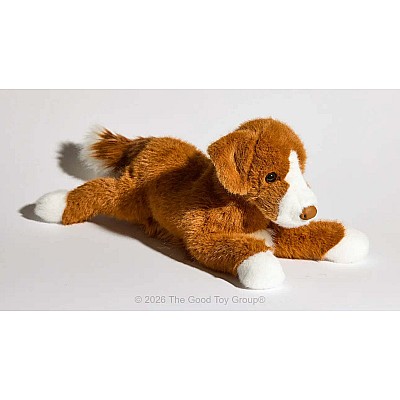 Rush Duck Tolling Retriever