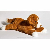 Rush Duck Tolling Retriever
