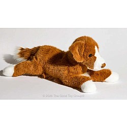 Rush Duck Tolling Retriever