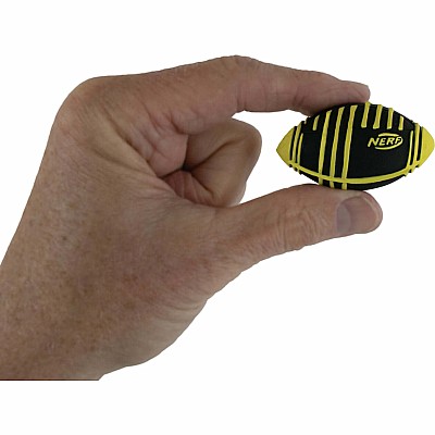 World's Smallest NERF Weather Blitz Football