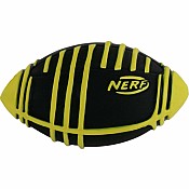 World's Smallest NERF Weather Blitz Football