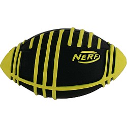 World's Smallest NERF Weather Blitz Football
