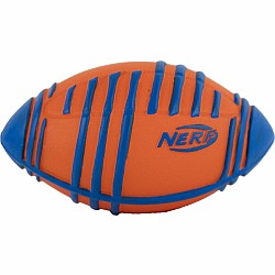 World's Smallest NERF Weather Blitz Football