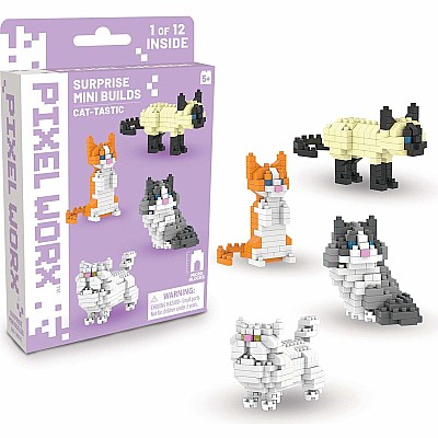 Pixel Worx Surprise Mini Builds: 3 styles