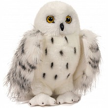 Douglas Wizard White Owl
