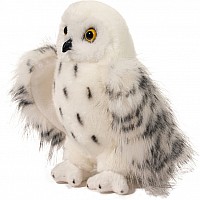 Douglas Wizard White Owl