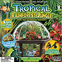 Tropical Rainforest Jungle Biosphere Terrarium