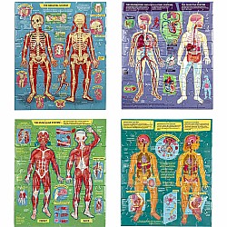 Eeboo "Human Anatomy Body Systems" (48 Pc 4 in 1 Puzzle)