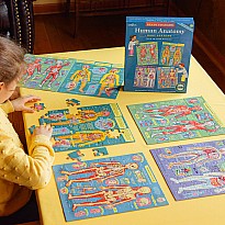 Human Anatomy Body Systems - Four 48 Piece Puzzles