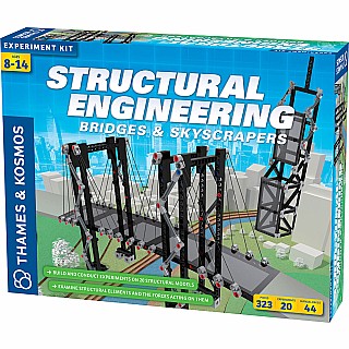 Structural Engineering: Bridges & Skyscrapers