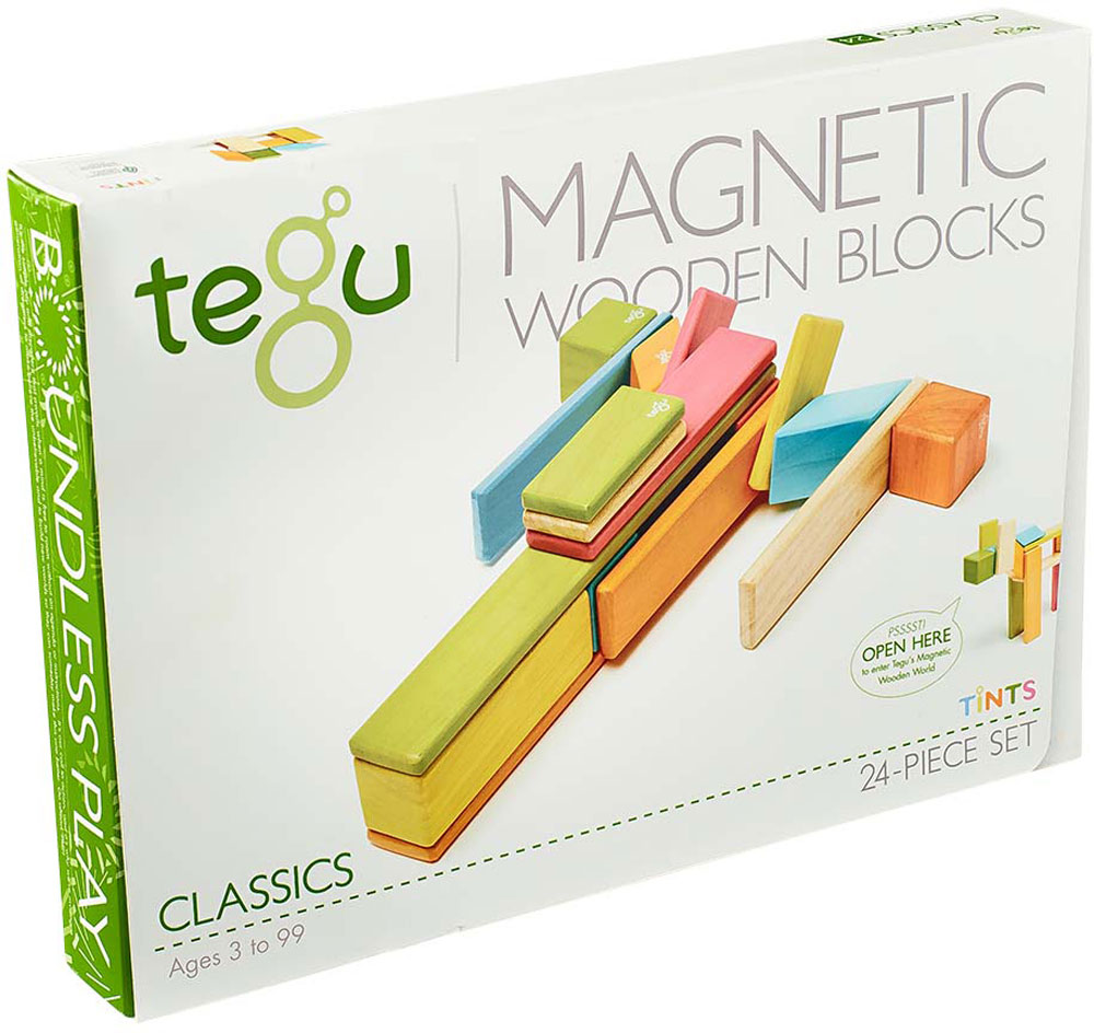 tegu magnetic blocks 24 piece