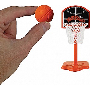 World's Smallest Official Nerfoop Basketball