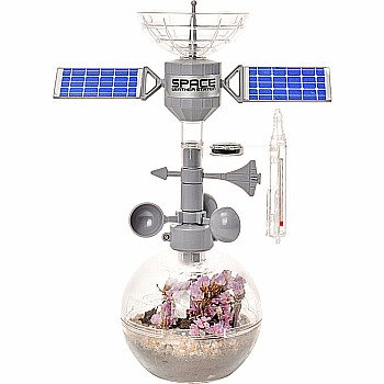 The Space Weather Station