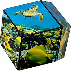 Shashibo The Shape Shifting Box Undersea