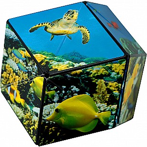 Shashibo - The Shape Shifting Box - Undersea