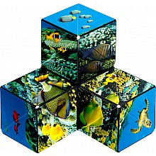 Shashibo - The Shape Shifting Box - Undersea