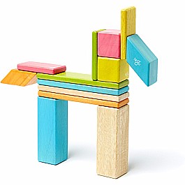 Tegu Tints Magnetic Wooden Blocks 14 Piece Set