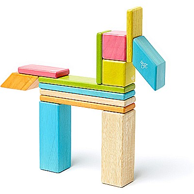 Tegu Tints Magnetic Wooden Blocks 14 Piece Set