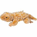 Boogie Bearded Dragon Soft - Arriving Late November