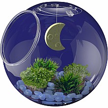 Wow in the World: Light-Up Terrarium