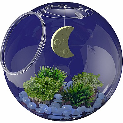 Wow in the World: Light-Up Terrarium