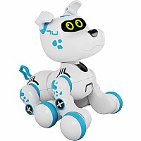 Buddy Xtrem Bots Crazy Pets