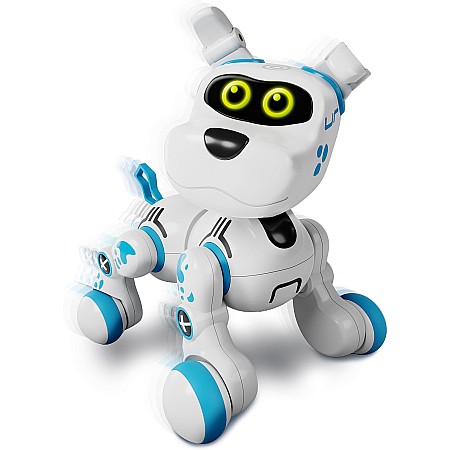 Buddy Xtrem Bots Crazy Pets