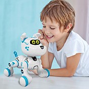 Buddy Xtrem Bots Crazy Pets