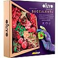 OKTO Sensory Art Wood & Craft Succulents Passion