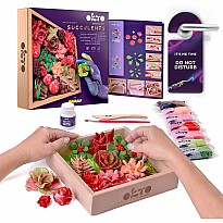 OKTO Sensory Art Wood & Craft Succulents Passion
