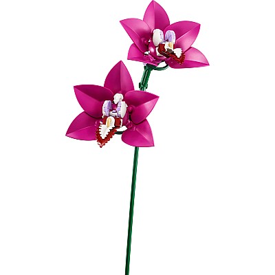 LEGO BOTANICALS Pretty Pink Flower Bouquet