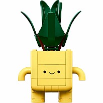 LEGO BOTANICALS Happy Plants
