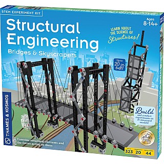 Structural Engineering: Bridges & Skyscrapers