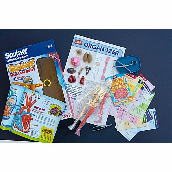 Smart Lab Squishy Human Body