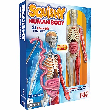 Smart Lab Squishy Human Body