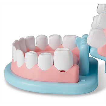 Super Smile Dentist Play Set