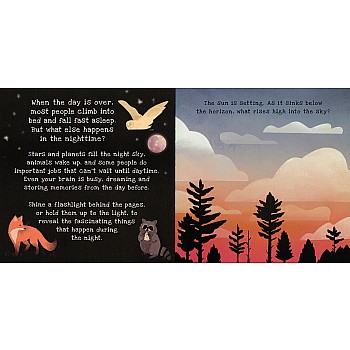 Nighttime A Shine-A-Light Book