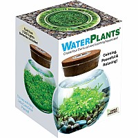 WaterPlants - Create Your Own Aquascape