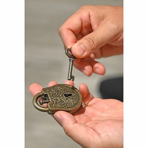 True Genius Lock & Key Puzzles