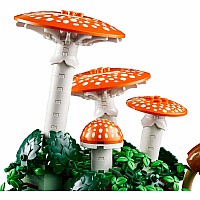 BOTANICALS Woodland Mushrooms