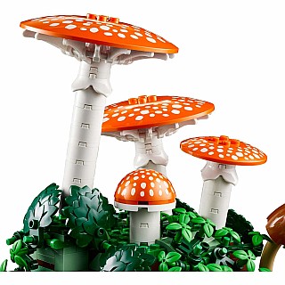 BOTANICALS Woodland Mushrooms