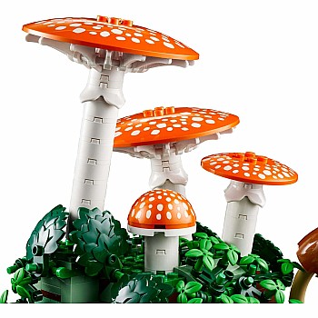 BOTANICALS Woodland Mushrooms