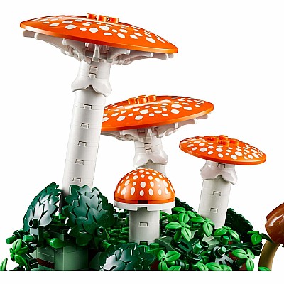 BOTANICALS Woodland Mushrooms