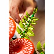 BOTANICALS Woodland Mushrooms