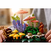 BOTANICALS Woodland Mushrooms