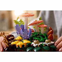 BOTANICALS Woodland Mushrooms