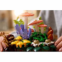 BOTANICALS Woodland Mushrooms