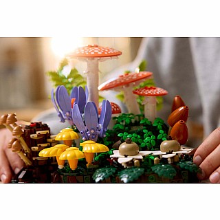 BOTANICALS Woodland Mushrooms