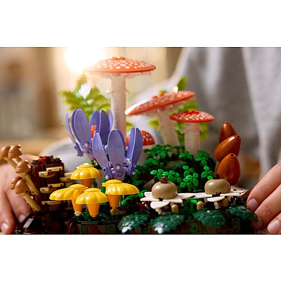 BOTANICALS Woodland Mushrooms