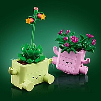 BOTANICALS Rocking Plants